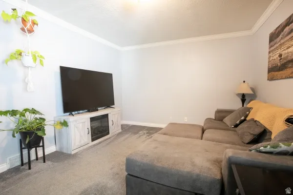 Living area with carpet floors, ornamental molding, and a textured ceiling