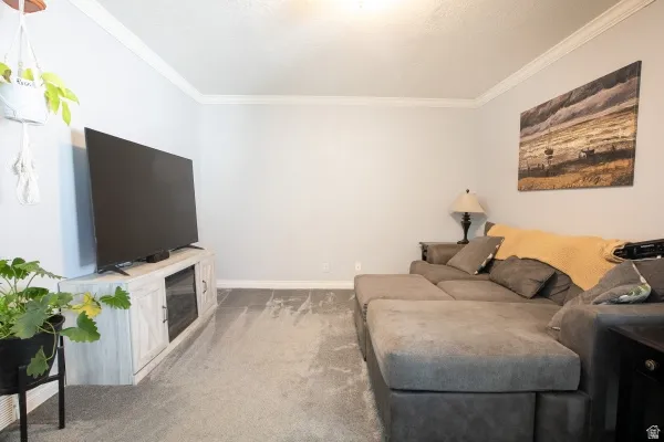 Living area featuring light colored carpet and crown molding
