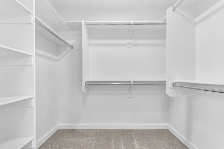 Spacious walk-in closet featuring built-in shelving, multiple hanging rods, and neutral-toned carpeting