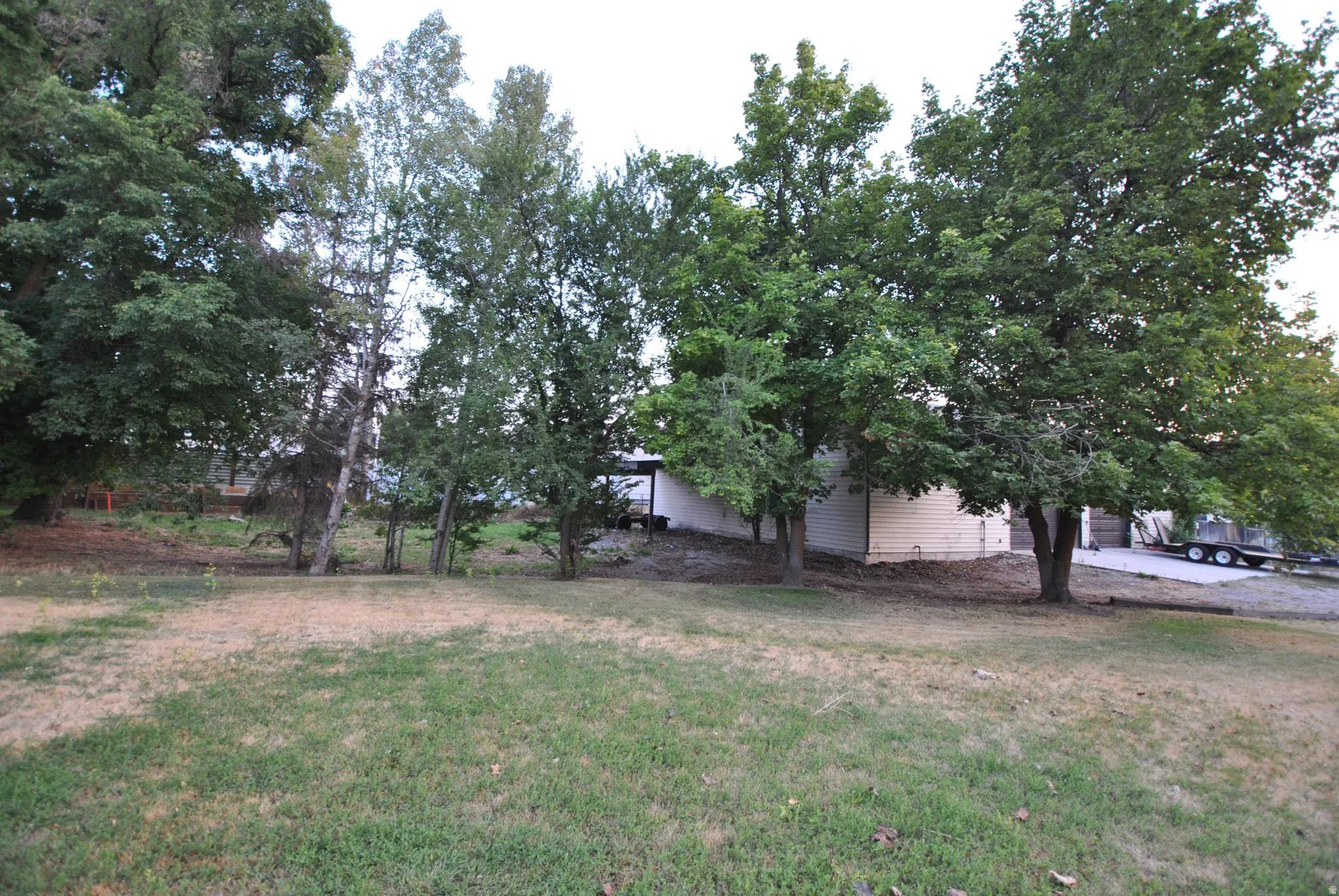 Expansive rear lawn area with mature trees and a detached structure