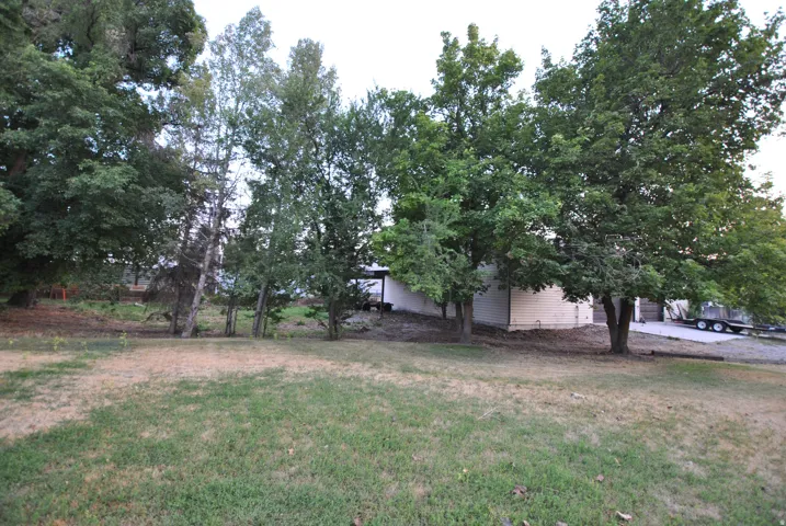 Expansive rear lawn area with mature trees and a detached structure
