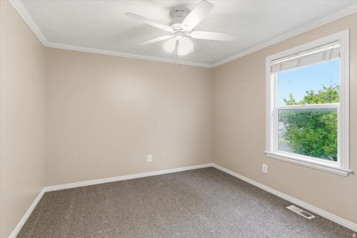 Empty room with ornamental molding, carpet, and ceiling fan
