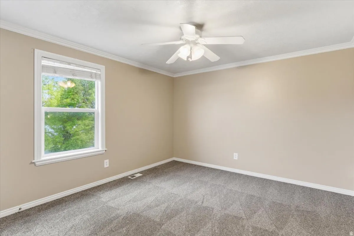 Unfurnished room featuring crown molding, light colored carpet, and ceiling fan