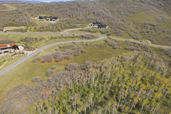 Aerial view of property's location with a heavily wooded area