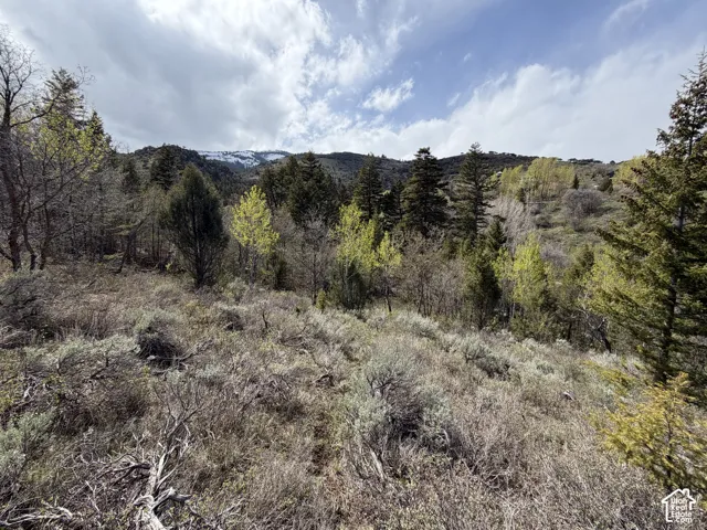 1300 W Swan Creek Spring Rd, Garden City, Utah 84028