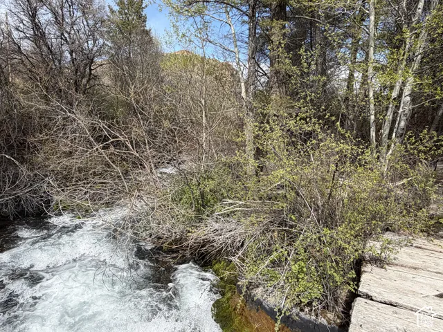 1300 W Swan Creek Spring Rd, Garden City, Utah 84028