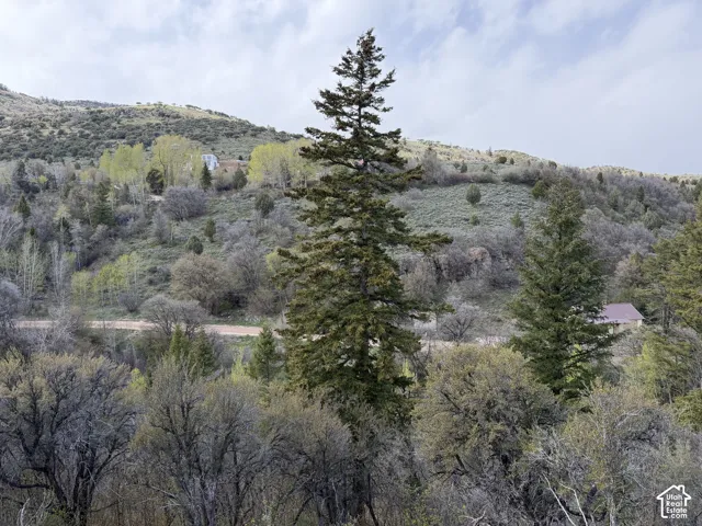 1300 W Swan Creek Spring Rd, Garden City, Utah 84028