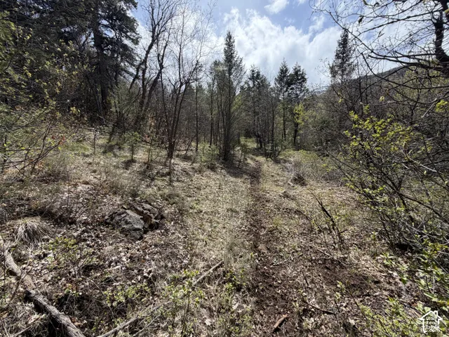 1300 W Swan Creek Spring Rd, Garden City, Utah 84028