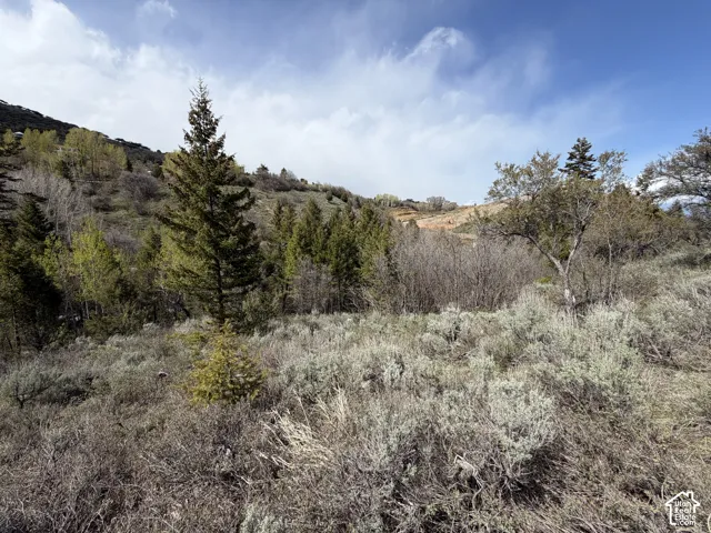 1300 W Swan Creek Spring Rd, Garden City, Utah 84028