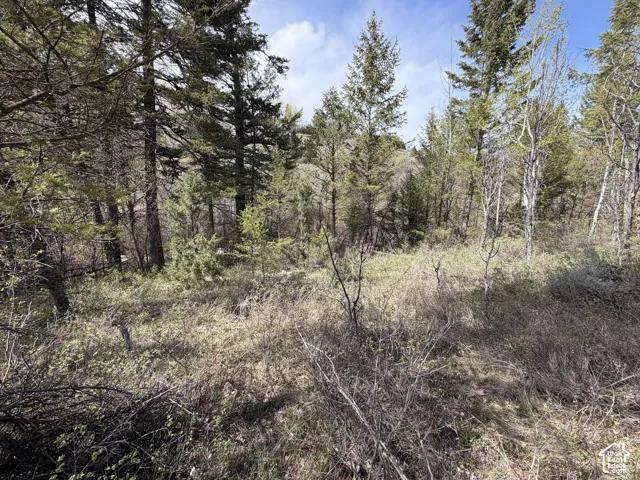 1300 W Swan Creek Spring Rd, Garden City, Utah 84028
