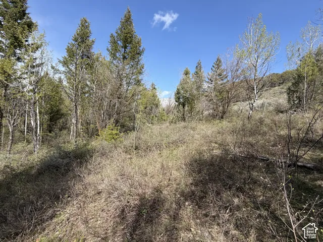 1300 W Swan Creek Spring Rd, Garden City, Utah 84028