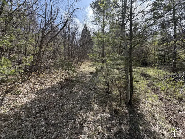 1300 W Swan Creek Spring Rd, Garden City, Utah 84028
