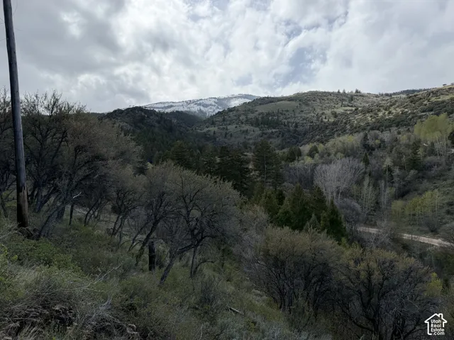 1300 W Swan Creek Spring Rd, Garden City, Utah 84028