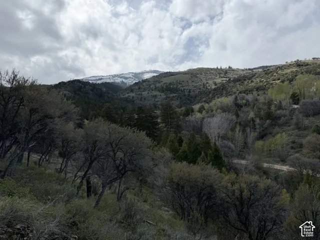 1300 W Swan Creek Spring Rd, Garden City, Utah 84028