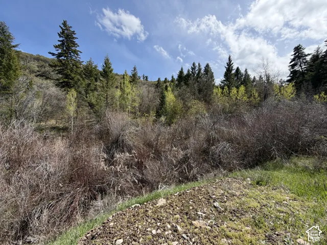 1300 W Swan Creek Spring Rd, Garden City, Utah 84028