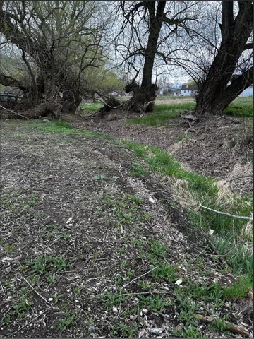 View of nature