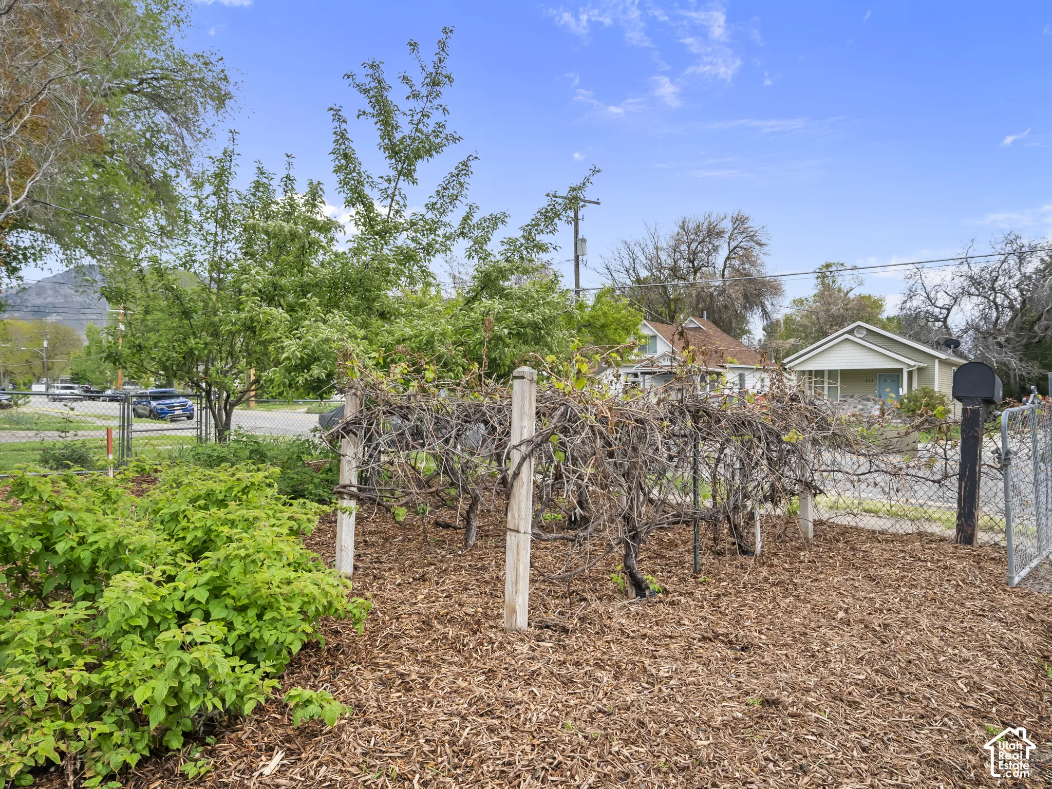 View of yard featuring a gate