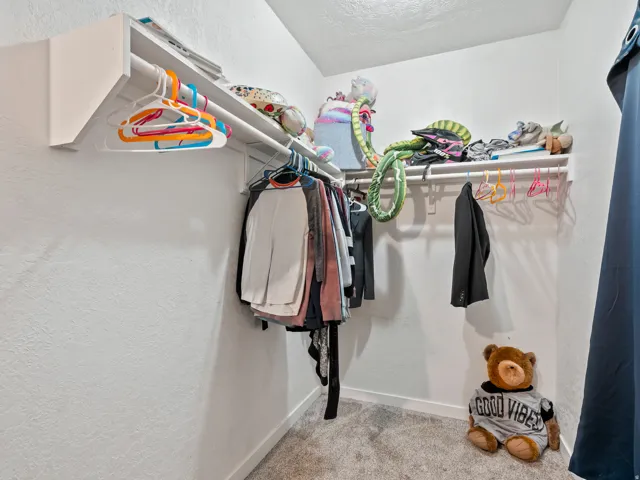Walk in closet with carpet