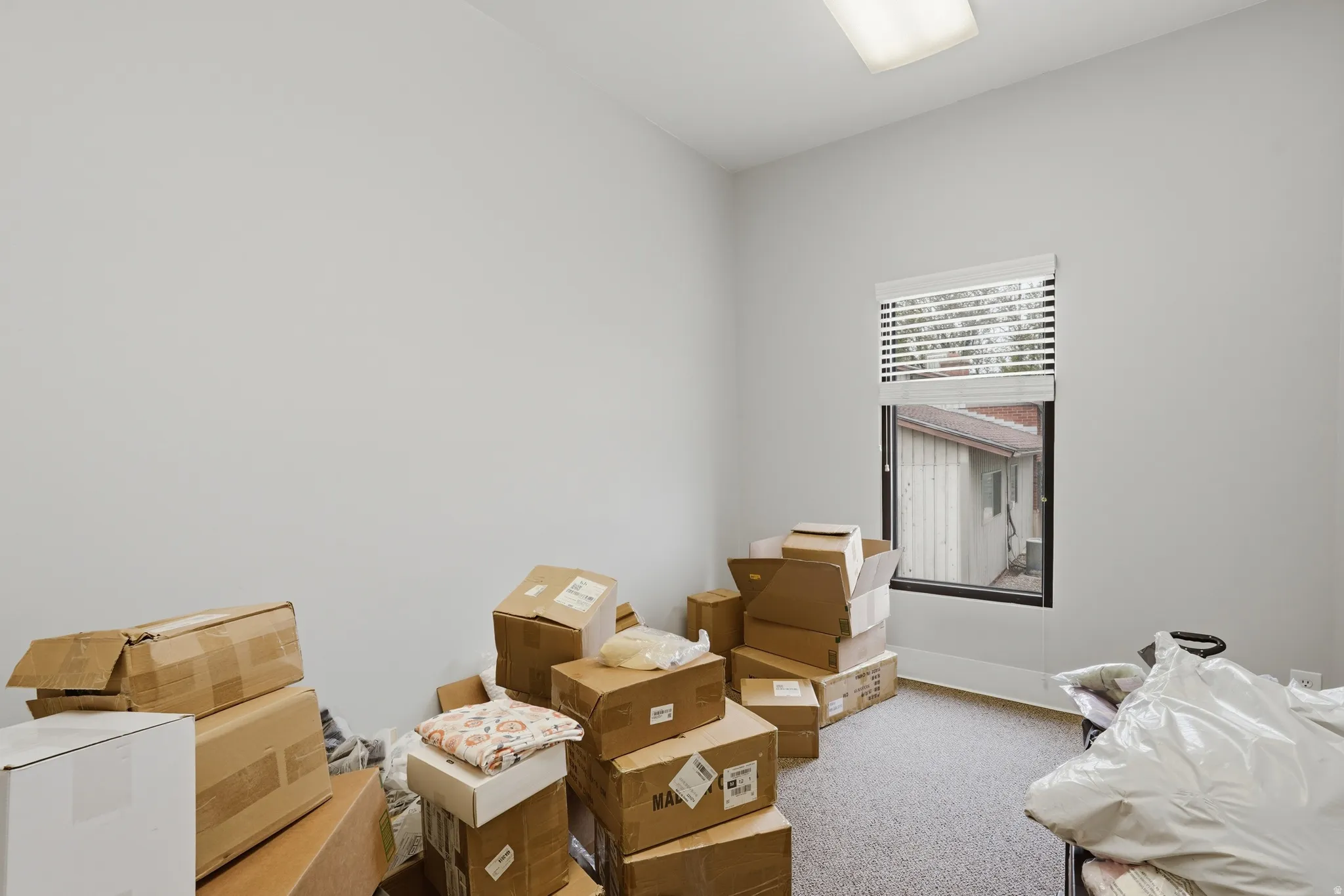 Miscellaneous room featuring light colored carpet