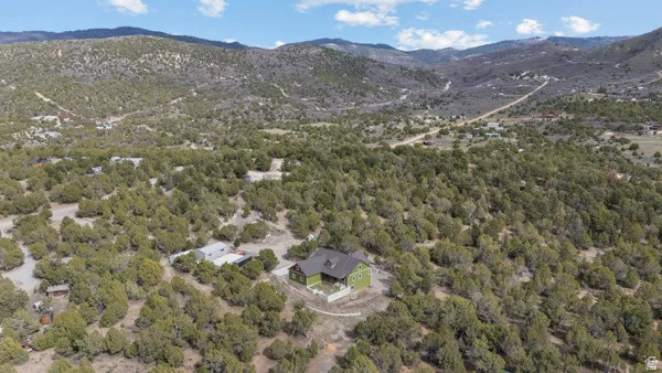 Bird's eye view of a mountain backdrop and a forest