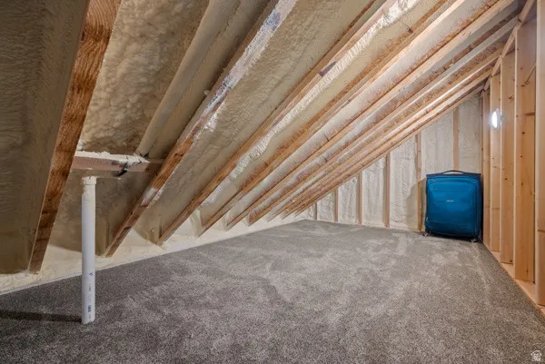 View of unfinished attic
