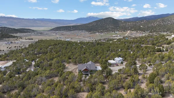 Drone / aerial view of a mountain backdrop and a forest
