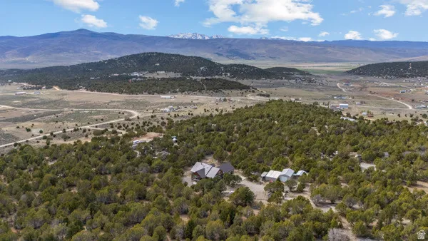 Drone / aerial view of a mountainous background and a heavily wooded area
