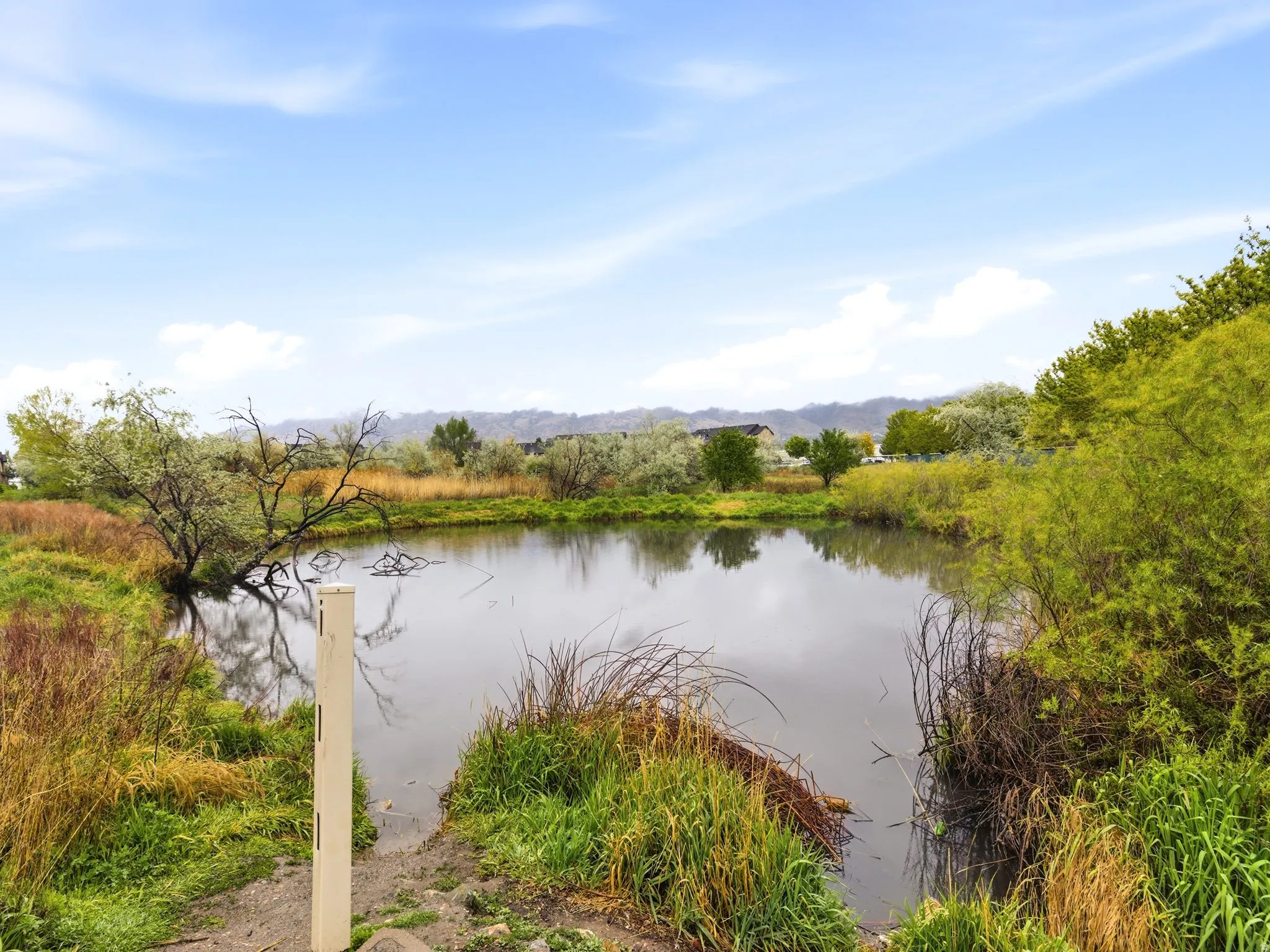 Duck pond & open space water view with a mountainous background