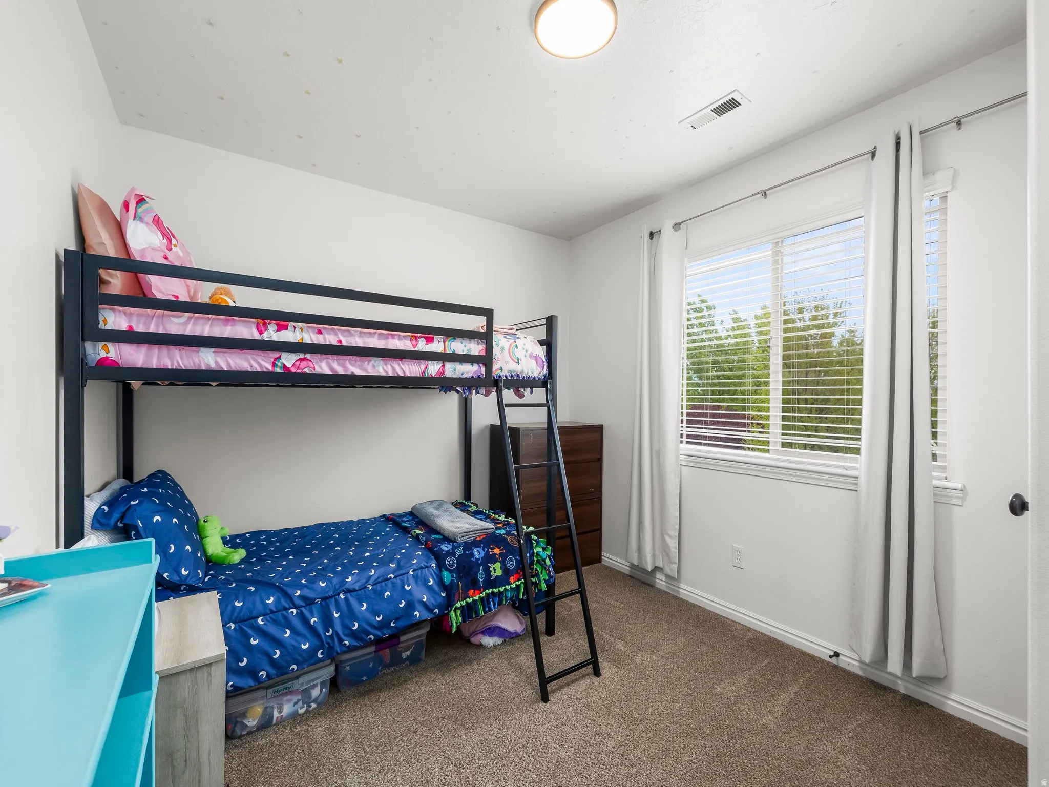 Wall-to-wall carpeting, white walls, and a multi-pane window with white blinds