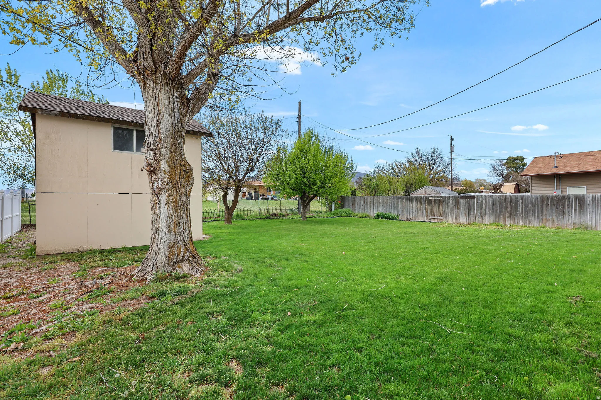 View of fenced backyard