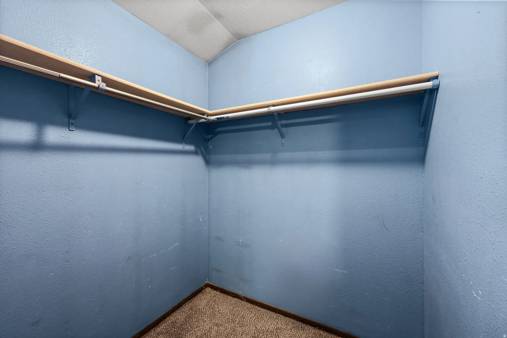 Walk in closet with carpet