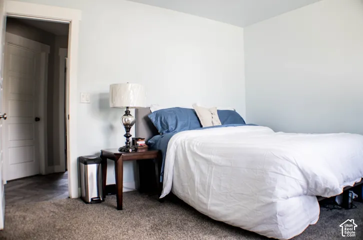 Light gray wall paint, textured gray carpeting, white trim work, and a four-panel interior door