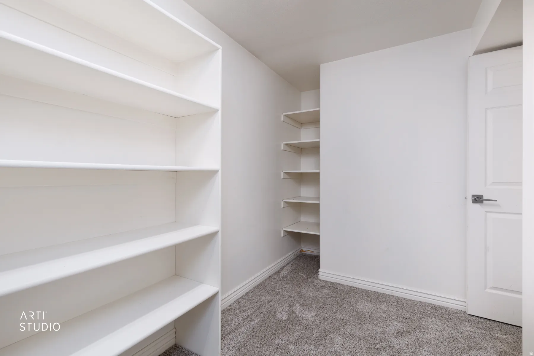 Walk in closet with light carpet