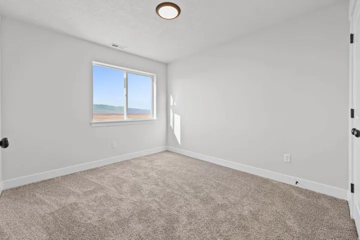 Spare room with carpet flooring and a textured ceiling