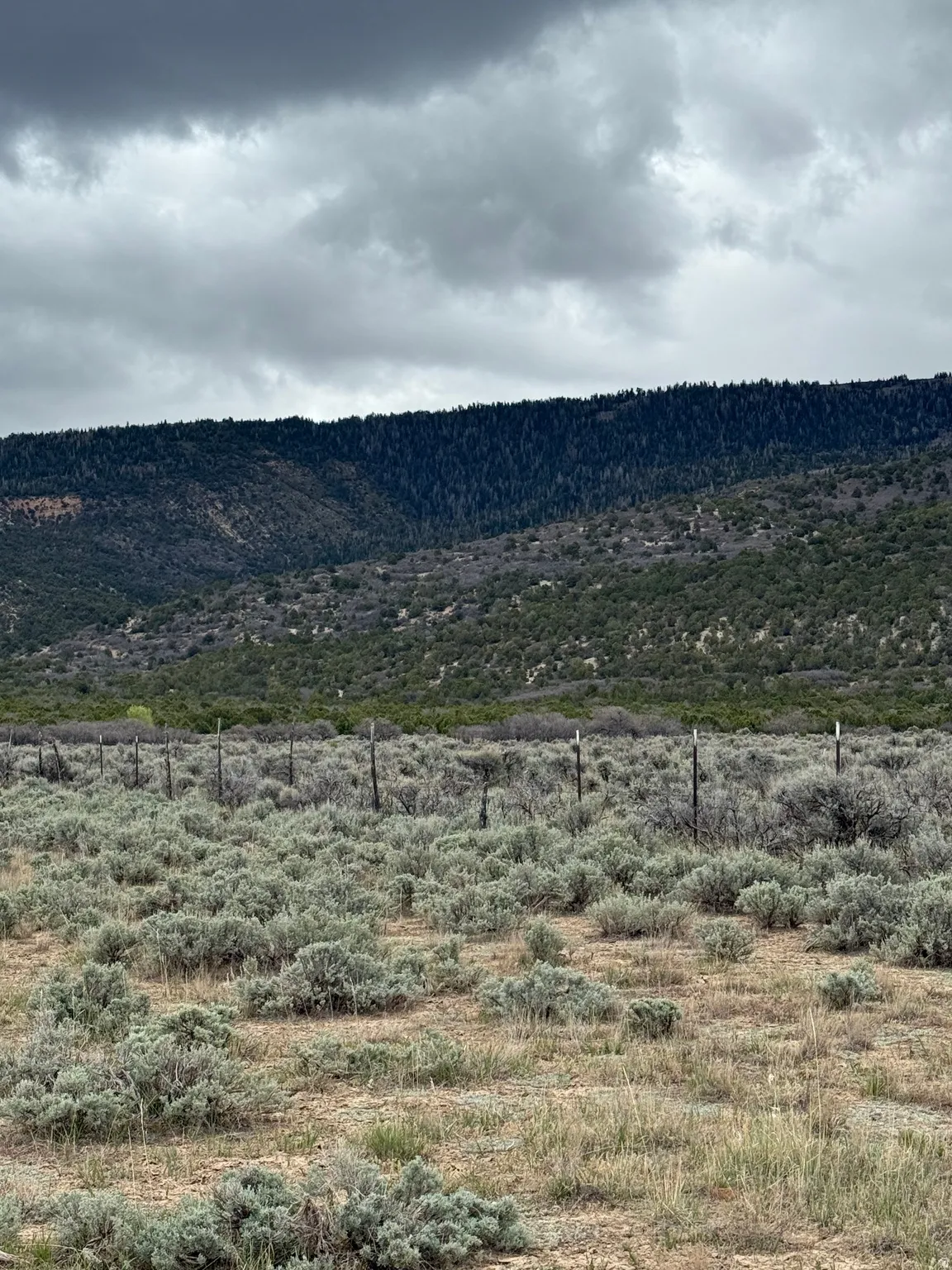 View of mountain background featuring rural landscape