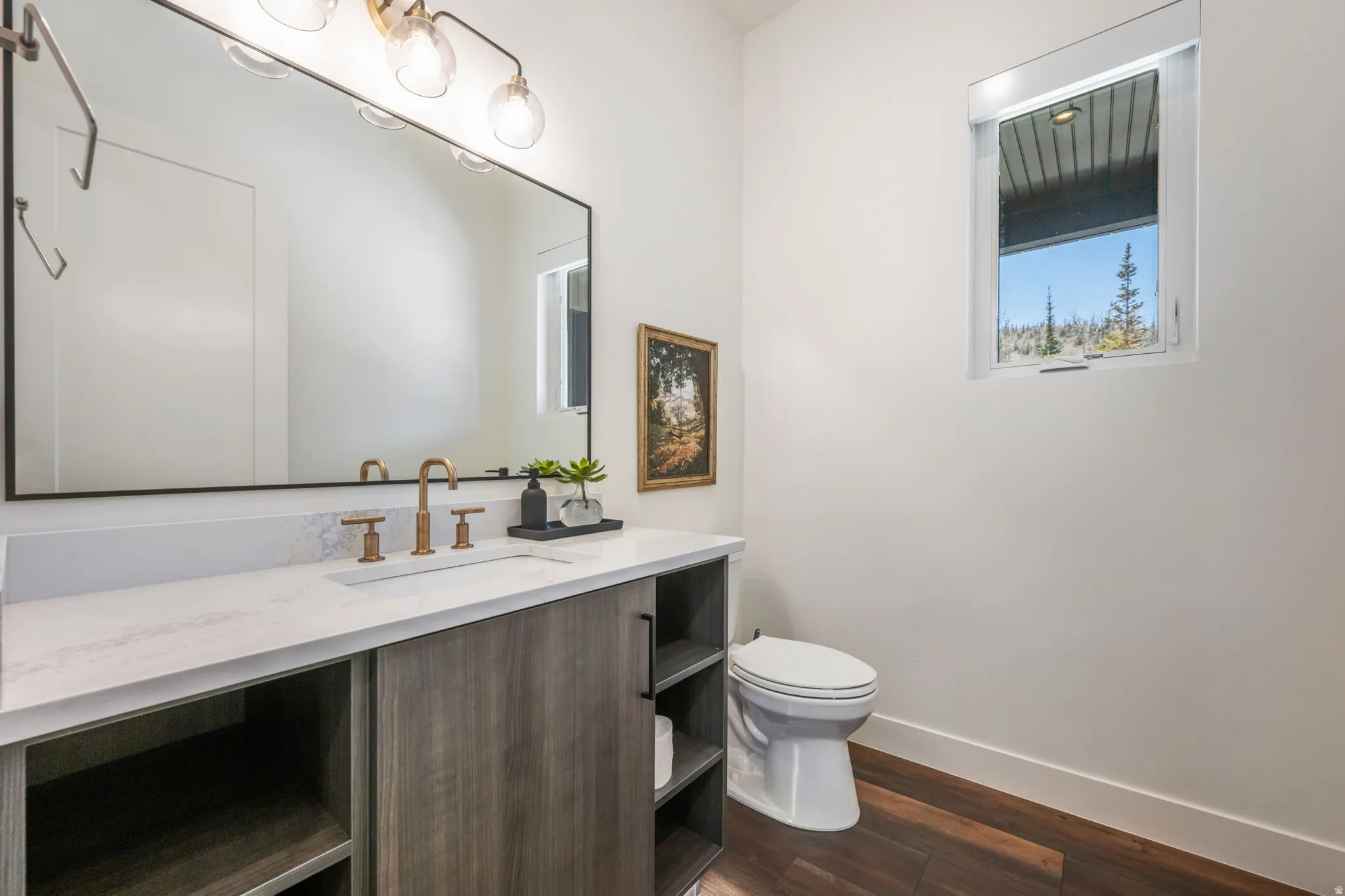 Half bathroom featuring vanity and dark wood-style floors