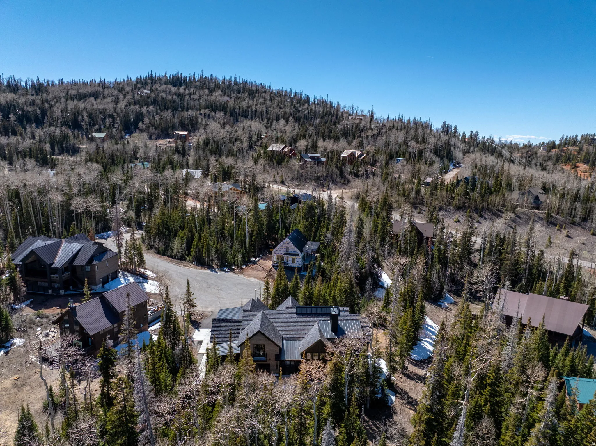 Aerial view of a heavily wooded area