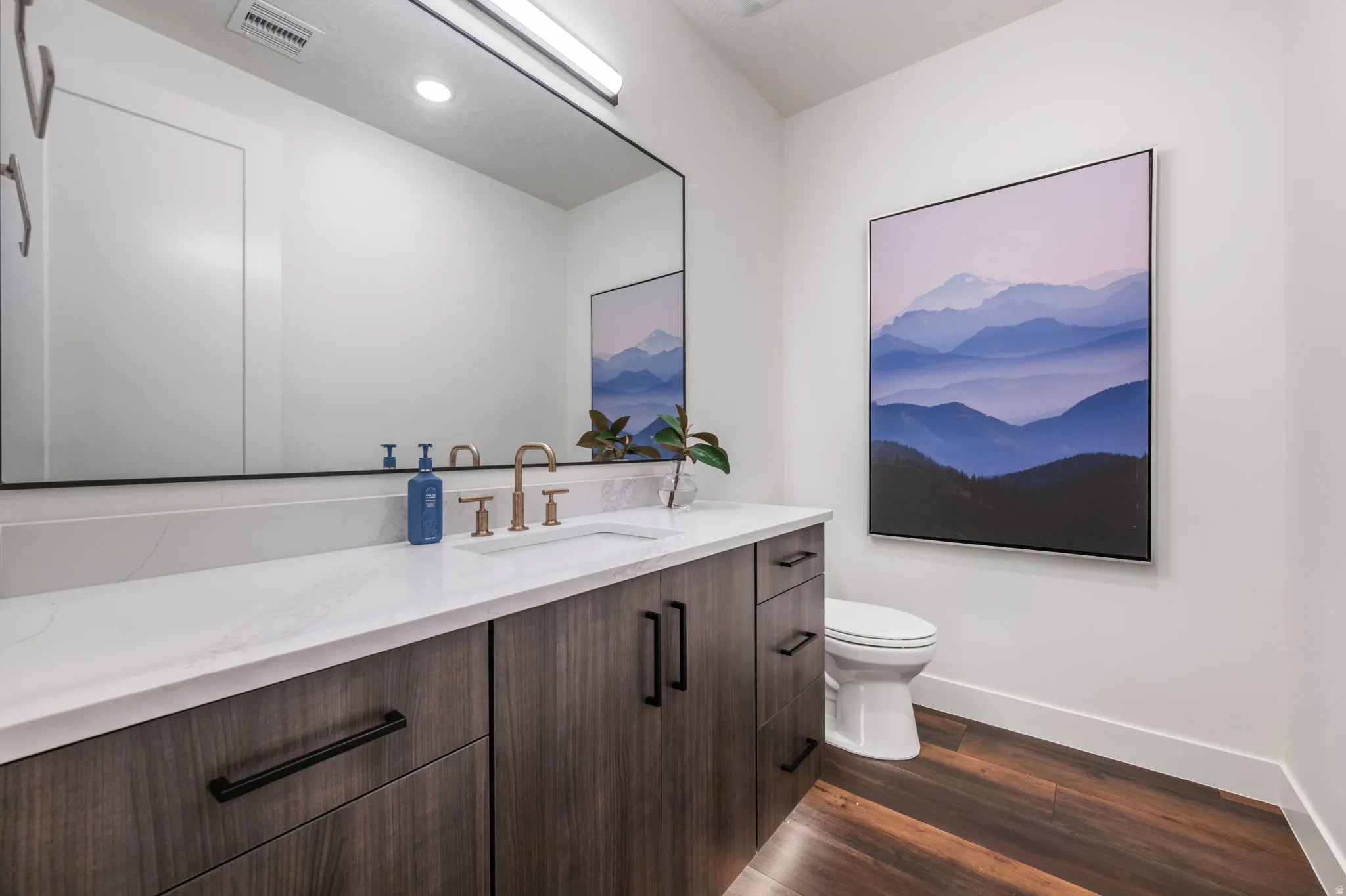 Bathroom featuring vanity, dark wood-style floors, and recessed lighting