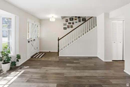 Foyer featuring dark wood-type flooring