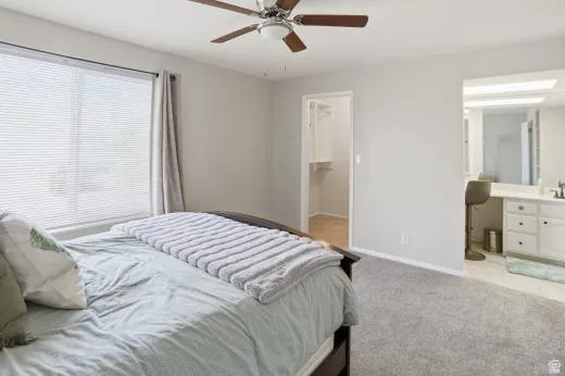 Bedroom with ensuite bath, carpet flooring, a walk in closet, and ceiling fan