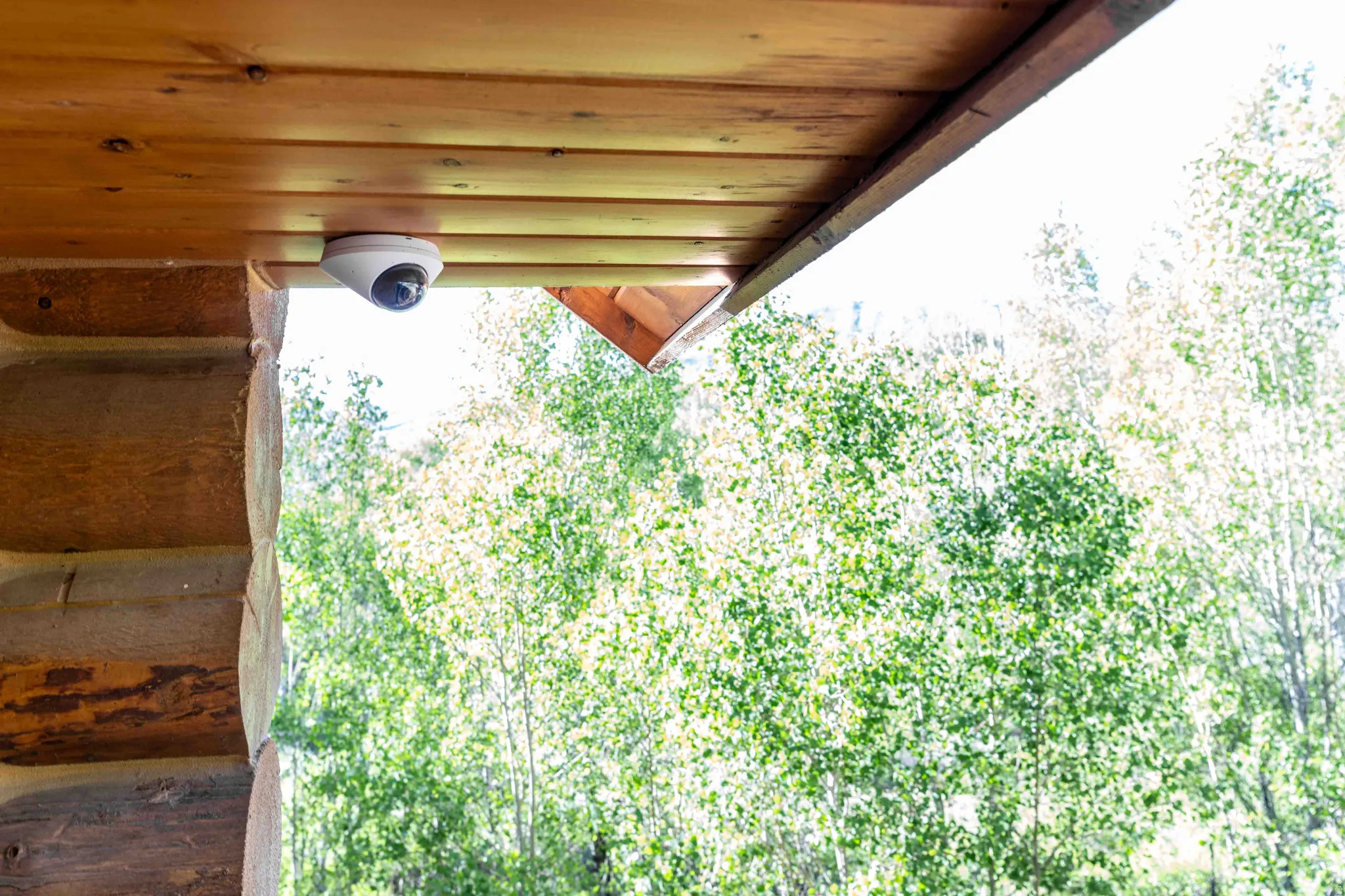 Exterior view of a surveillance system