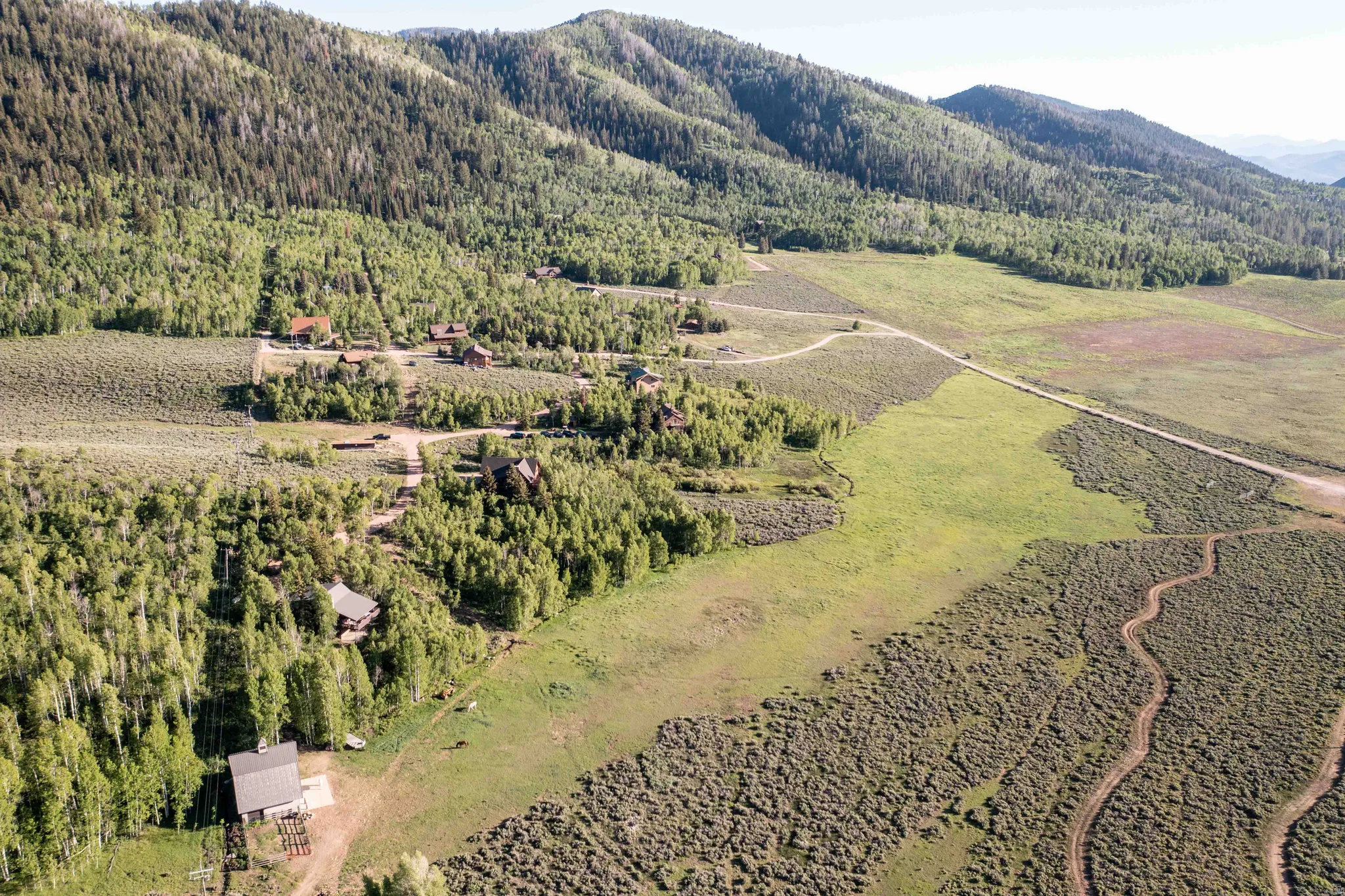 Aerial view of sparsely populated area with a forest