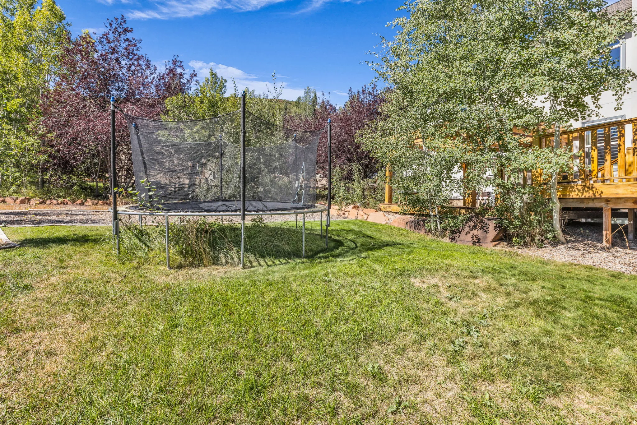 Expansive backyard oasis featuring a rectangular trampoline with safety netting, manicured lawn, mature landscaping with mixed tree varieties, and a wood-finish deck structure visible on the property's right side