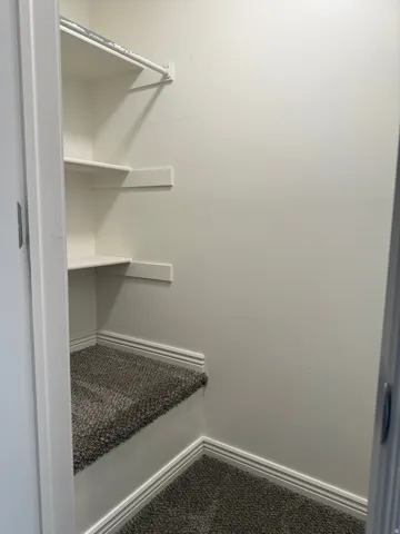 Under-stair storage area featuring white shelving, a hanging rod, and carpeted steps