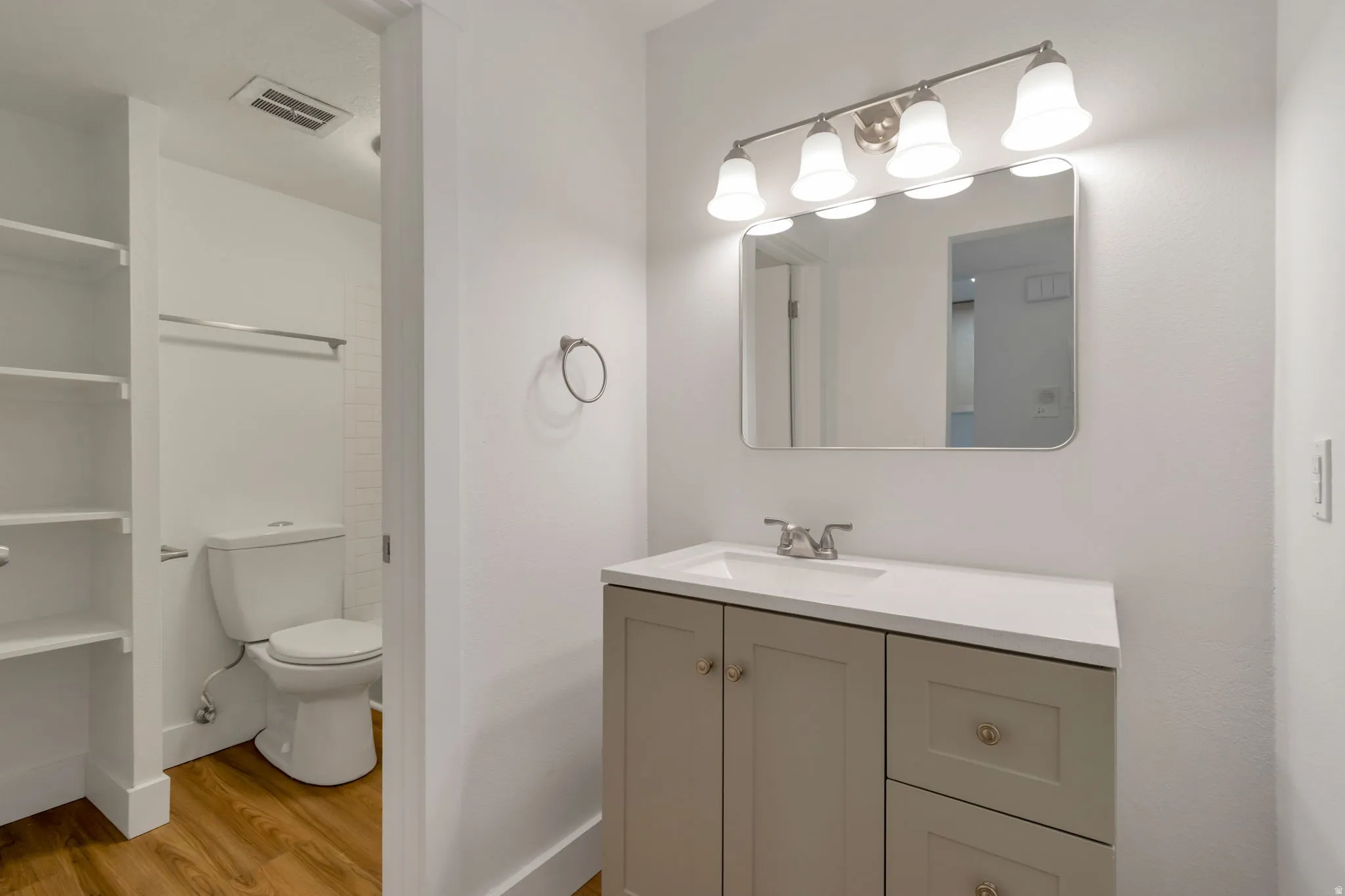 Bathroom with light wood-type flooring, vanity, and a closet