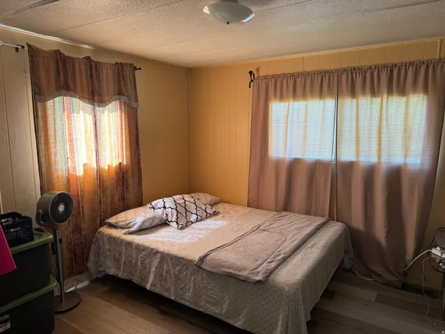 Room featuring two windows, wood-finish flooring, and a ceiling light fixture