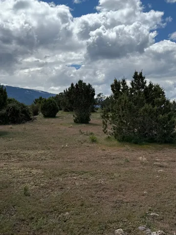 View of nature