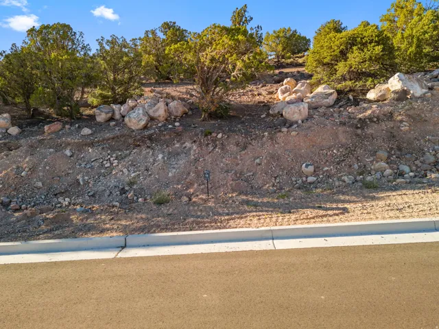 Graded lot featuring established natural landscaping, mature trees, and a paved road with an integrated curb