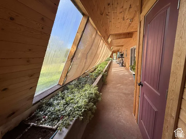 Hallway with wood walls, concrete floors, and wood ceiling