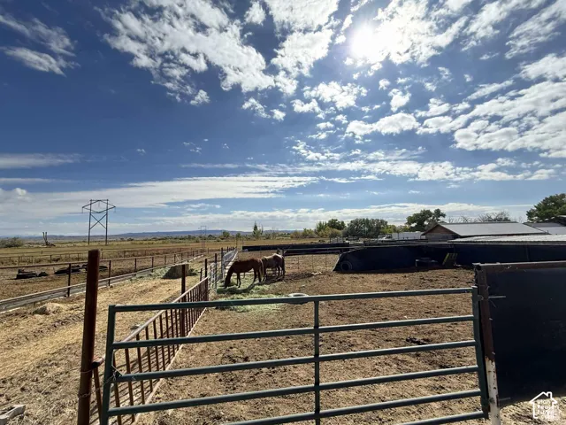 View of yard with a view of rural / pastoral area